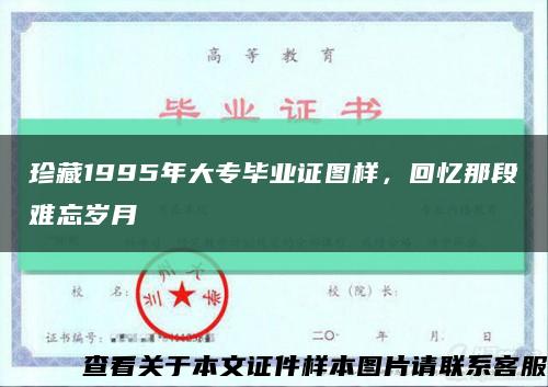 珍藏1995年大专毕业证图样，回忆那段难忘岁月缩略图