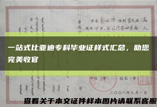 一站式比亚迪专科毕业证样式汇总，助您完美收官缩略图