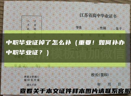 中职毕业证掉了怎么补（重要！如何补办中职毕业证？）缩略图