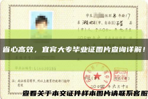 省心高效，宜宾大专毕业证图片查询详解！缩略图