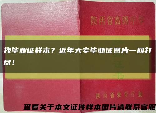 找毕业证样本？近年大专毕业证图片一网打尽！缩略图