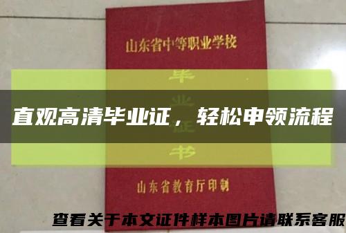 直观高清毕业证，轻松申领流程缩略图