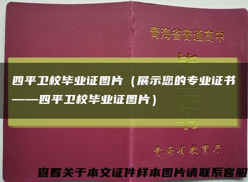 四平卫校毕业证图片（展示您的专业证书——四平卫校毕业证图片）缩略图