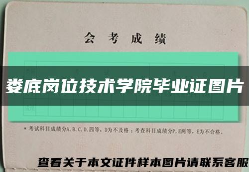 娄底岗位技术学院毕业证图片缩略图