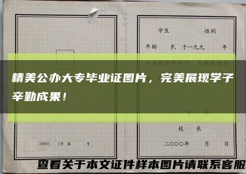 精美公办大专毕业证图片，完美展现学子辛勤成果！缩略图