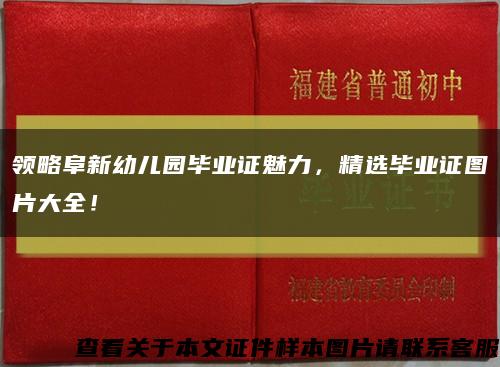 领略阜新幼儿园毕业证魅力，精选毕业证图片大全！缩略图