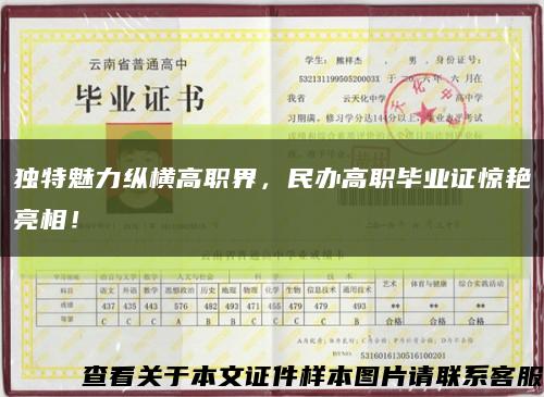 独特魅力纵横高职界，民办高职毕业证惊艳亮相！缩略图