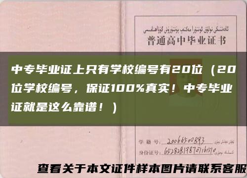 中专毕业证上只有学校编号有20位（20位学校编号，保证100%真实！中专毕业证就是这么靠谱！）缩略图