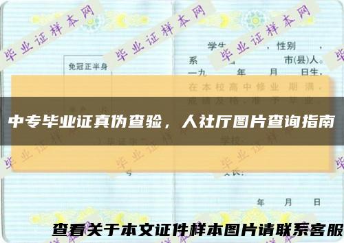中专毕业证真伪查验，人社厅图片查询指南缩略图