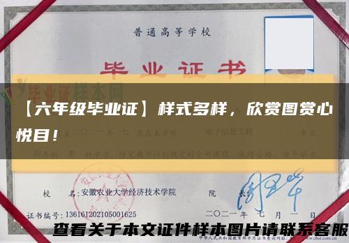 【六年级毕业证】样式多样，欣赏图赏心悦目！缩略图