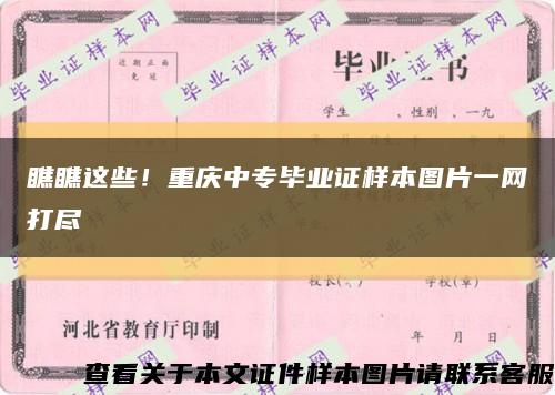 瞧瞧这些！重庆中专毕业证样本图片一网打尽缩略图