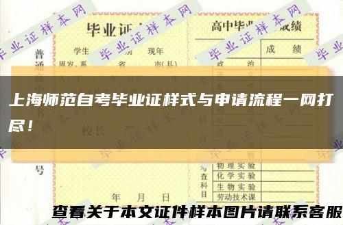 上海师范自考毕业证样式与申请流程一网打尽！缩略图