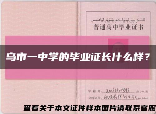 乌市一中学的毕业证长什么样？缩略图