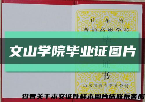 文山学院毕业证图片缩略图