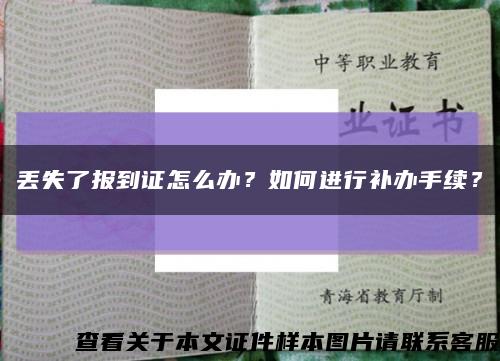 丢失了报到证怎么办？如何进行补办手续？缩略图