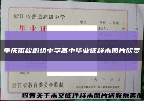 重庆市松树桥中学高中毕业证样本图片欣赏缩略图