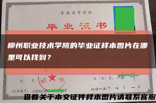 柳州职业技术学院的毕业证样本图片在哪里可以找到？缩略图
