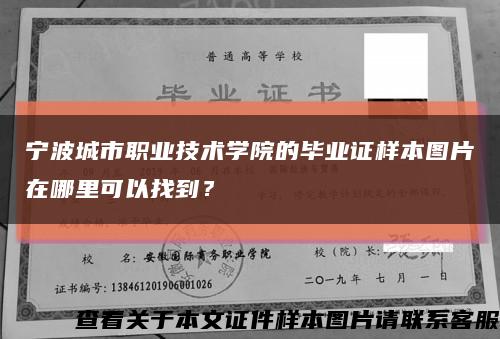 宁波城市职业技术学院的毕业证样本图片在哪里可以找到？缩略图