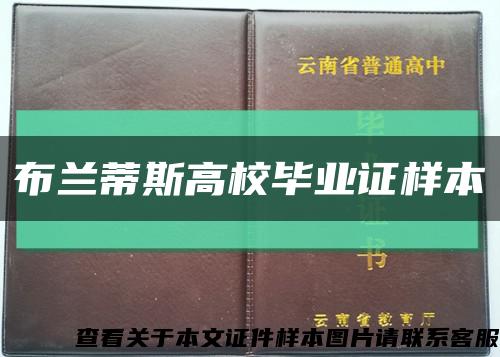 布兰蒂斯高校毕业证样本缩略图