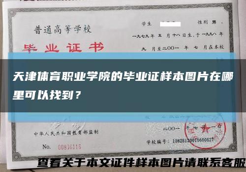 天津体育职业学院的毕业证样本图片在哪里可以找到？缩略图