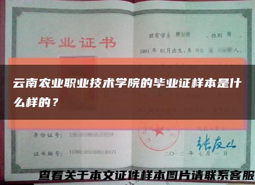 云南农业职业技术学院的毕业证样本是什么样的？缩略图