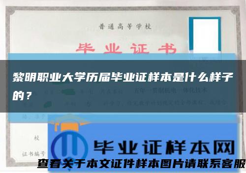 黎明职业大学历届毕业证样本是什么样子的？缩略图