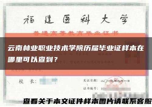 云南林业职业技术学院历届毕业证样本在哪里可以查到？缩略图