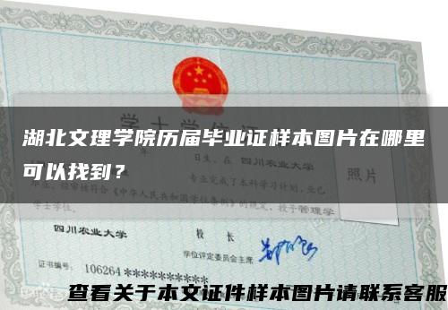 湖北文理学院历届毕业证样本图片在哪里可以找到？缩略图