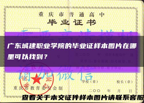 广东城建职业学院的毕业证样本图片在哪里可以找到？缩略图