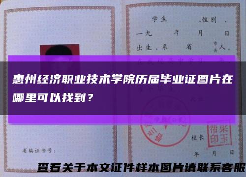 惠州经济职业技术学院历届毕业证图片在哪里可以找到？缩略图