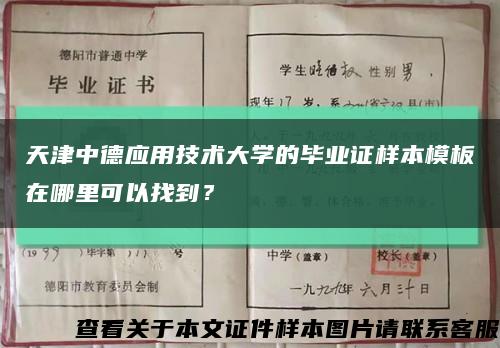 天津中德应用技术大学的毕业证样本模板在哪里可以找到？缩略图