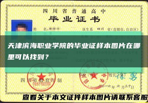 天津滨海职业学院的毕业证样本图片在哪里可以找到？缩略图