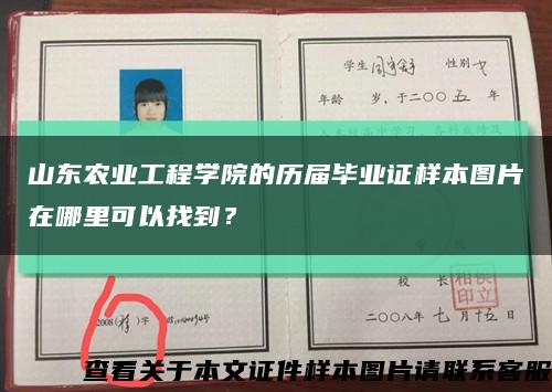 山东农业工程学院的历届毕业证样本图片在哪里可以找到？缩略图