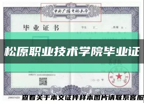 松原职业技术学院毕业证缩略图