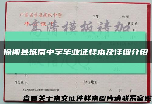 徐闻县城南中学毕业证样本及详细介绍缩略图