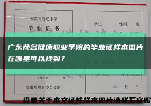 广东茂名健康职业学院的毕业证样本图片在哪里可以找到？缩略图