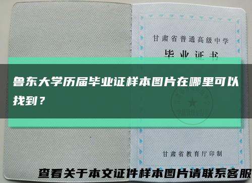 鲁东大学历届毕业证样本图片在哪里可以找到？缩略图