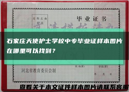石家庄天使护士学校中专毕业证样本图片在哪里可以找到？缩略图
