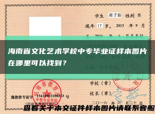 海南省文化艺术学校中专毕业证样本图片在哪里可以找到？缩略图