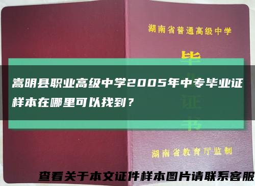 嵩明县职业高级中学2005年中专毕业证样本在哪里可以找到？缩略图