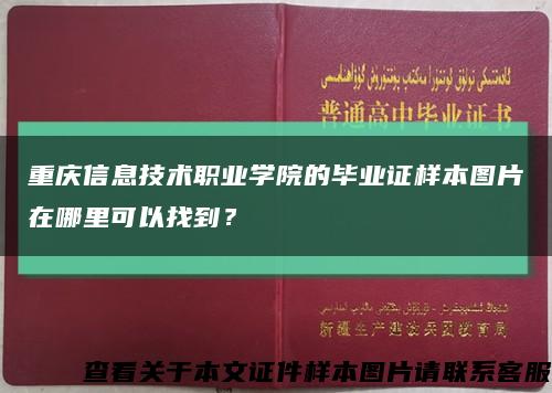 重庆信息技术职业学院的毕业证样本图片在哪里可以找到？缩略图