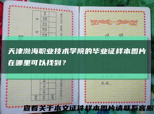 天津渤海职业技术学院的毕业证样本图片在哪里可以找到？缩略图