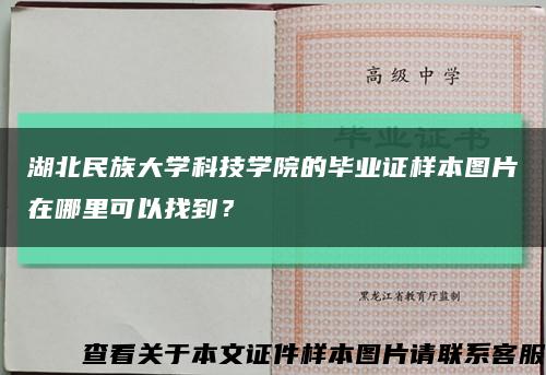 湖北民族大学科技学院的毕业证样本图片在哪里可以找到？缩略图