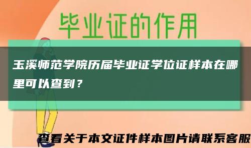 玉溪师范学院历届毕业证学位证样本在哪里可以查到？缩略图