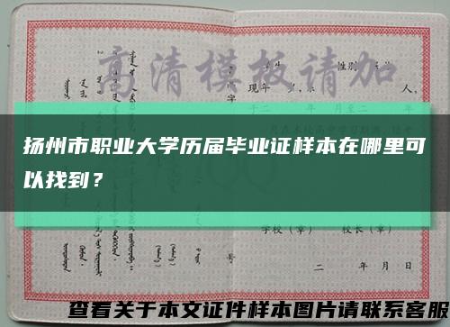 扬州市职业大学历届毕业证样本在哪里可以找到？缩略图