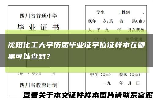 沈阳化工大学历届毕业证学位证样本在哪里可以查到？缩略图