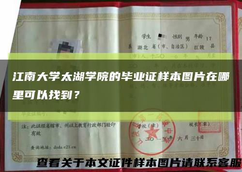 江南大学太湖学院的毕业证样本图片在哪里可以找到？缩略图