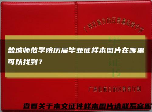 盐城师范学院历届毕业证样本图片在哪里可以找到？缩略图