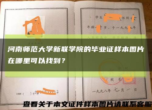河南师范大学新联学院的毕业证样本图片在哪里可以找到？缩略图