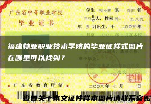 福建林业职业技术学院的毕业证样式图片在哪里可以找到？缩略图